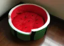 Watermelon Bed