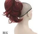 Bug