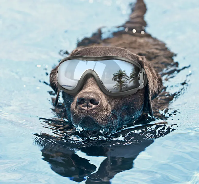 Pet glasses dog supplies goggles waterproof windproof