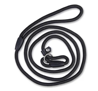 Match rope dog P chain Teddy Bear VIP integrated traction strap pet supplies Black - Shop at LoveMi