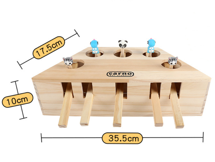 Cartoon 5 holes