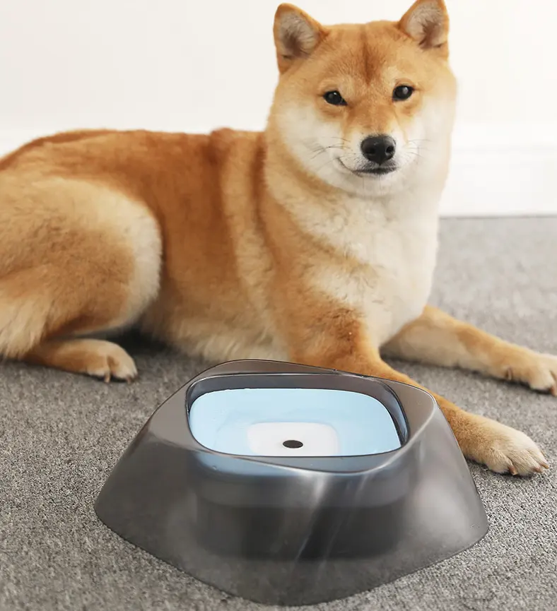 Pet Dog Bowl Floating Not Wetting Mouth