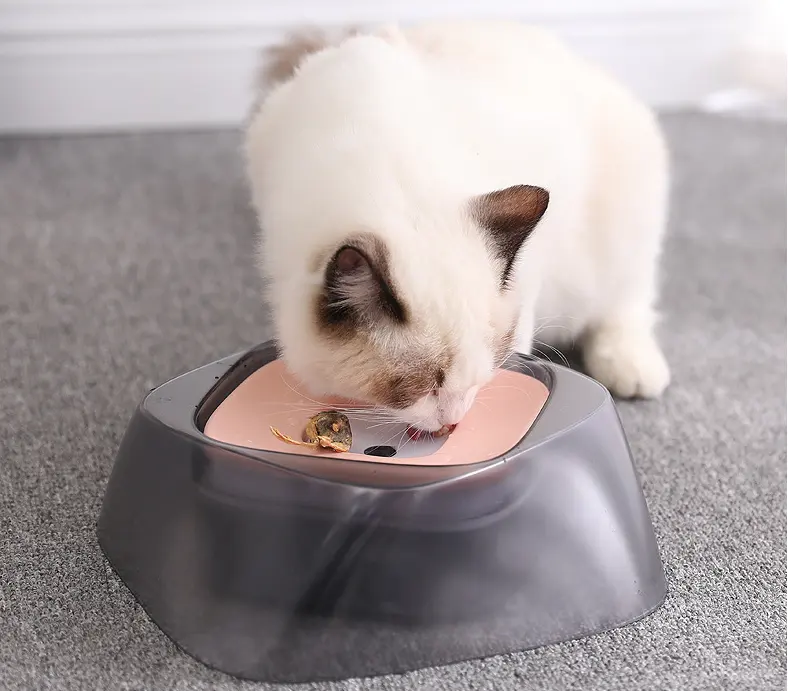 Pet Dog Bowl Floating Not Wetting Mouth