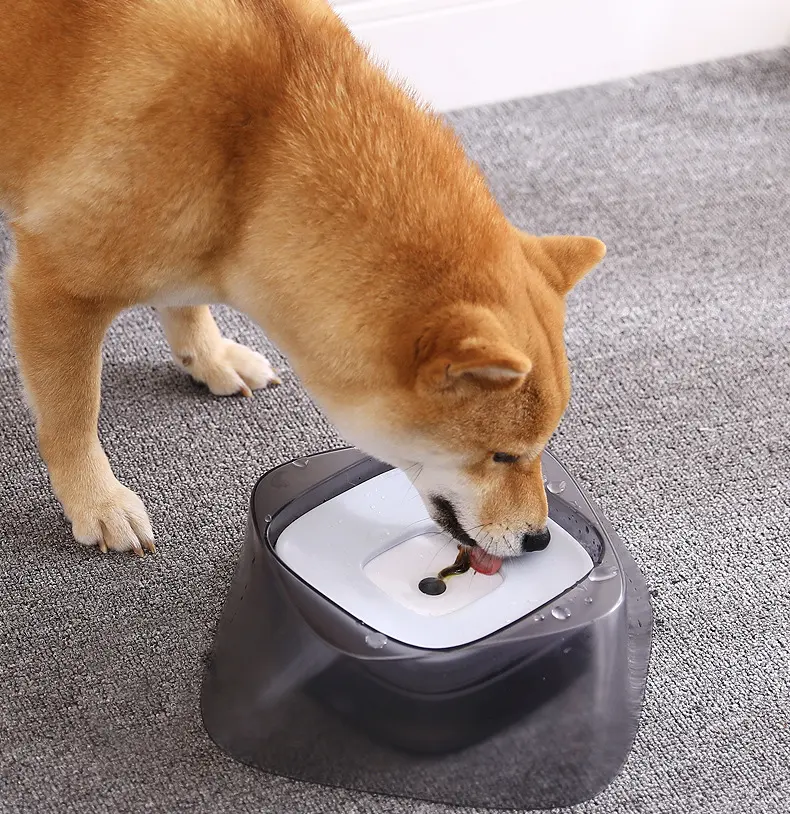 Pet Dog Bowl Floating Not Wetting Mouth