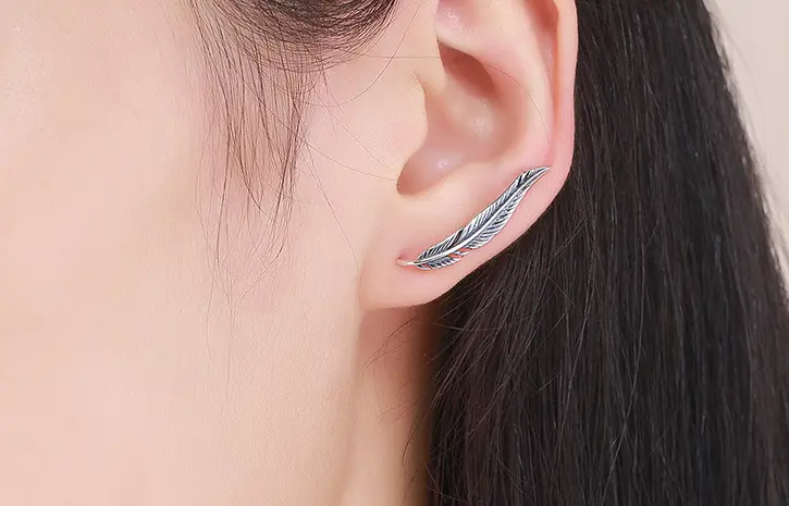 Feather personality in long earrings