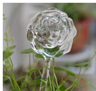 7cm rose white