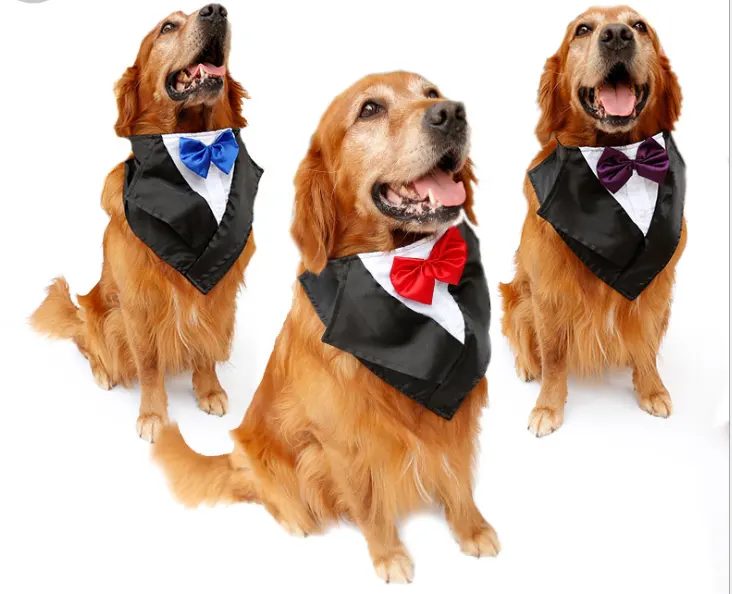 Wedding Tuxedo Big Dog Triangle Scarf Large Dog Golden