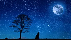 Wolf moon pattern tapestry - 150X230Cm Thick - View 1