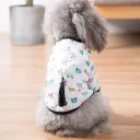 Bear Sunscreen