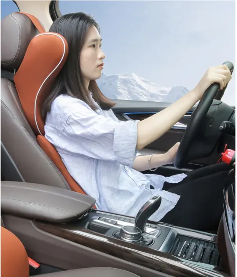 Car Headrest