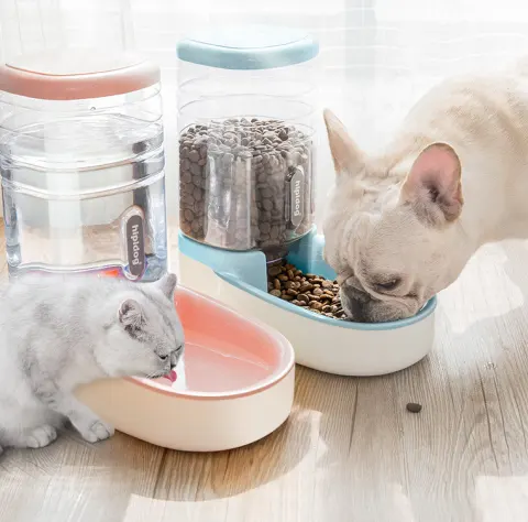 Pet Dog Automatic Feeder Microphone Dog Drinking Fountain