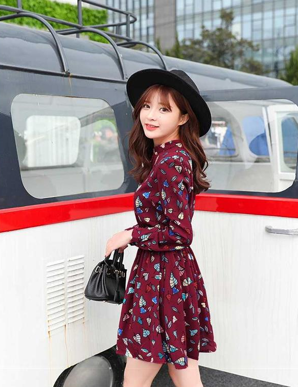 Printed skirt leaves were thin large size chiffon floral dress female long sleeves waist bottoming