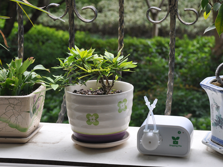 Automatic watering device