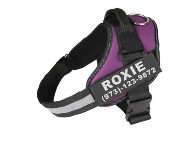 Personalized Custom Reflective Breathable Dog Harness NO PULL Adjustable Pet Harness For Small Large Dog Harness Vest With Patch Purple - Shop at LoveMi