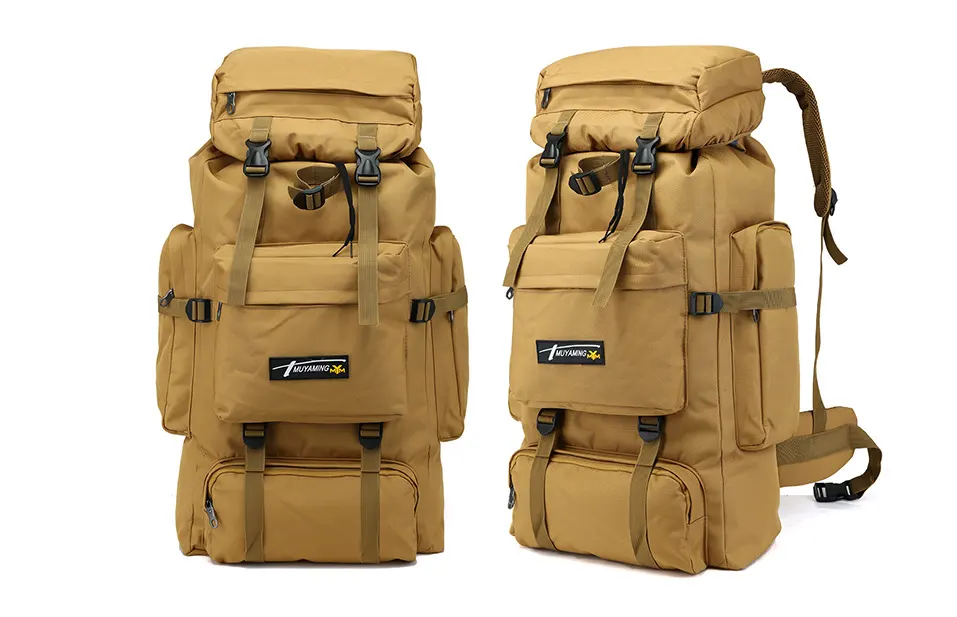 Traveling Backpack