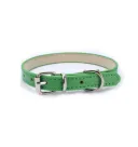 Cashmere Green
