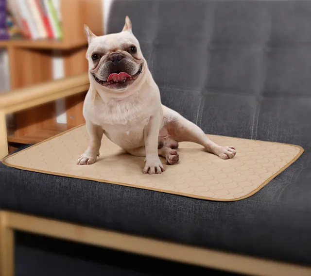 Dog Urine Pad Absorbent Pad Diaper Beige - Shop at LoveMi
