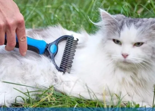 Rake Comb With Round Edge Dog And Cat - Blue