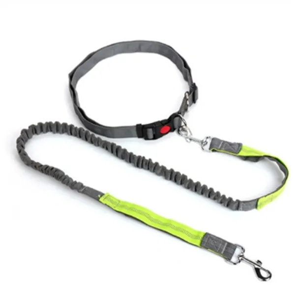 Traction rope dog leash - Gray And Green