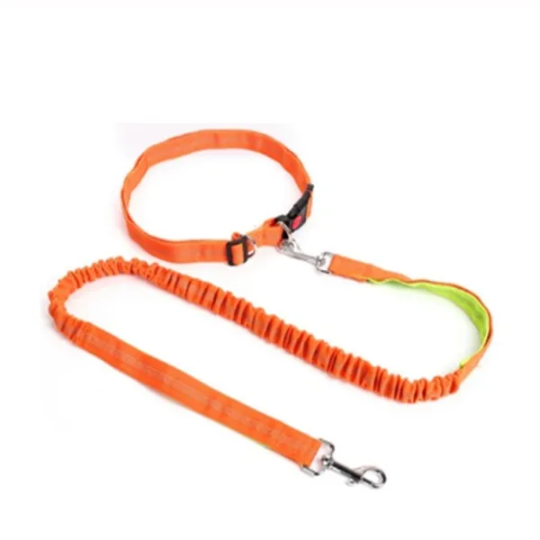 Traction rope dog leash - Orange And Green