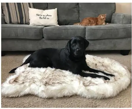 Fluffy Long Plush Warm Pet Blanket - White