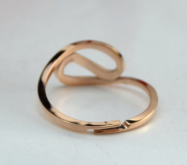 12 constellation ring