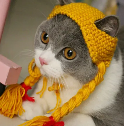 Cat scorpion cap Yellow - Shop at LoveMi
