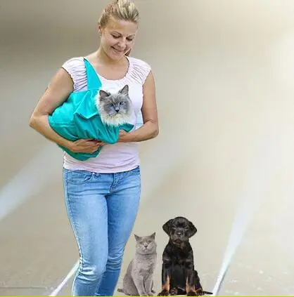 Pet shoulder bag foldable pet bag Canvas Lake Blue - Shop at LoveMi