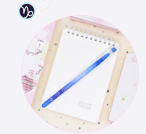 12 constellation boxed quick-drying gel pen