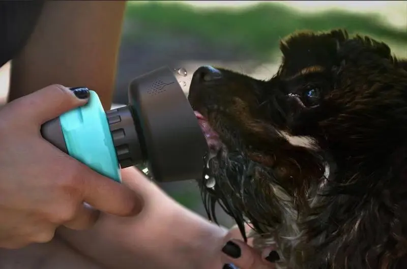 Pet Outdoor Foldable Bottle Dog Travel Water Bottle Dog Water Dispenser – image 2