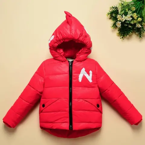 Children's Dinosaur Winter