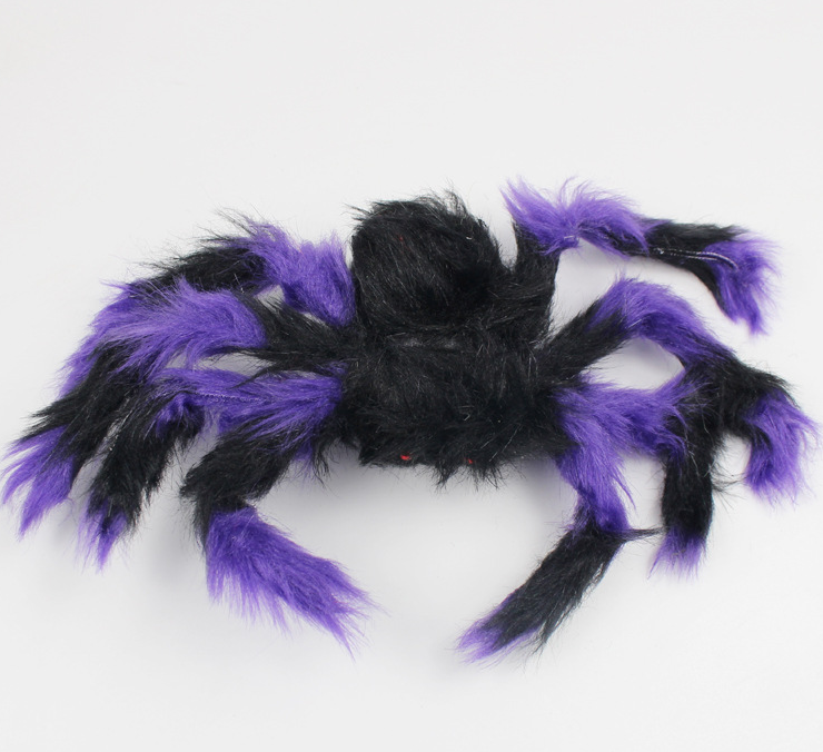 Purple spider