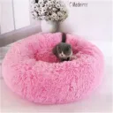 Bright Powder
