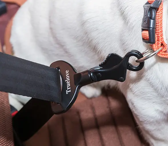 Pet Car Safety Buckle Car Accessories Holder