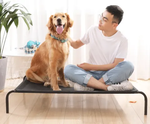 Removable and Washable Pet Bed