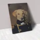 20X25Cm