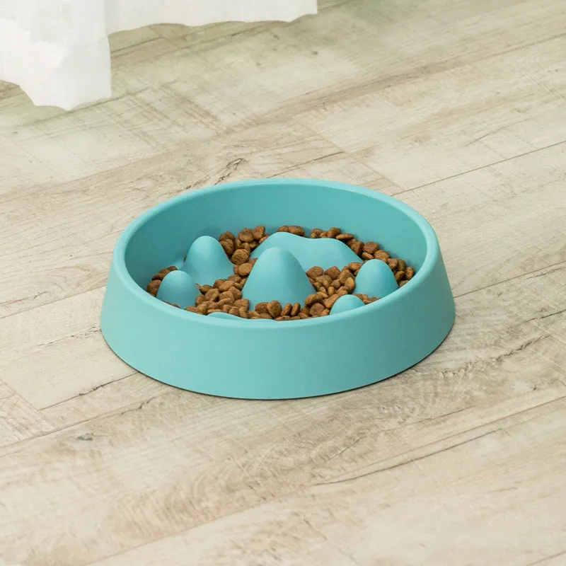 Pet Slow Food Bowl – image 4