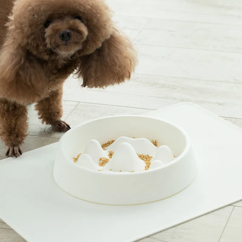 Pet Slow Food Bowl – image 2