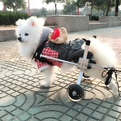 Dog Wheelchair
