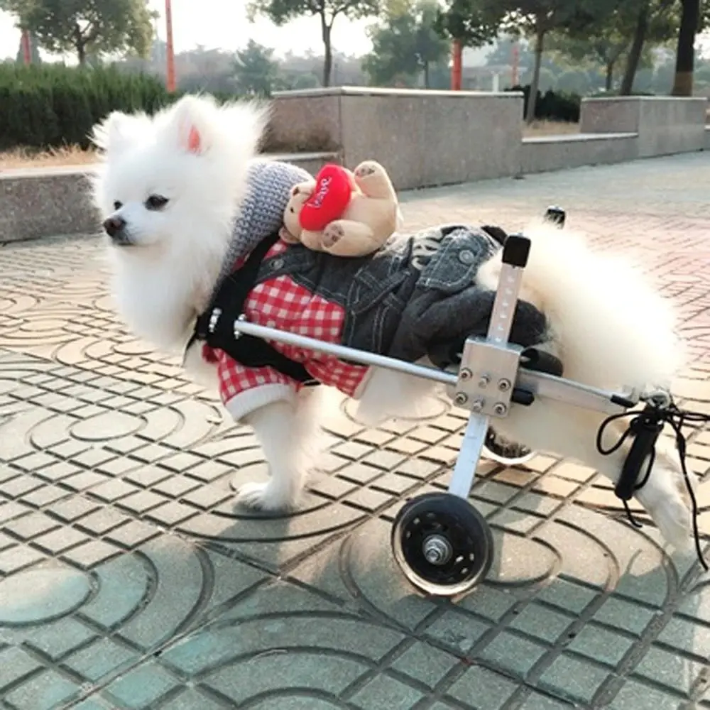 Dog Wheelchair