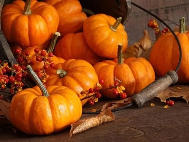 Pumpkin horn | Diamond embroidery kit - Shop at LoveMi