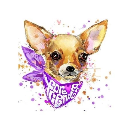 My Doggy Top | Dog diamond embroidery G - Shop at LoveMi