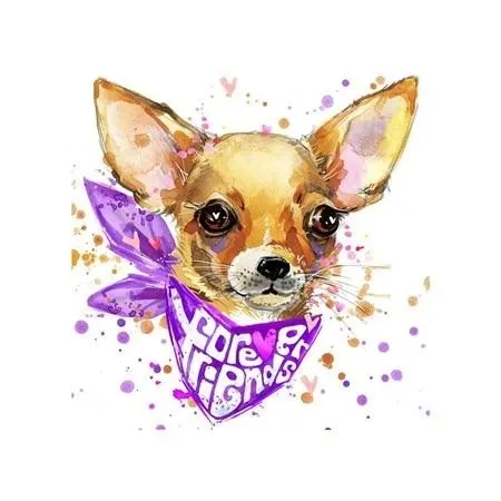 My Doggy Top | Dog diamond embroidery G - Shop at LoveMi