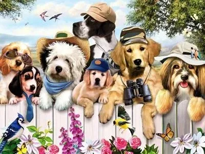 Les aventuriers 5D Diamond embroidery kit No Frame - Shop at LoveMi