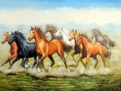 The majestic gallop Diamond embroidery kit - Shop at LoveMi