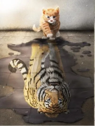 Intrigued reflection Animal diamonds embroidery kit P - Shop at LoveMi