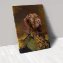 40X60Cm