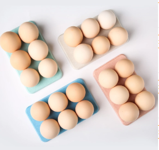 Title 1, Egg tray storage rack