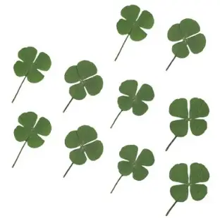 Four-leaf Clover (10 Pcs) for Handmade Jewelry