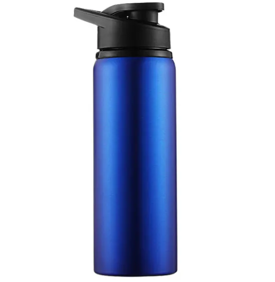 700ML Sports Water Bottle Stainless Steel Blue - Shop at LoveMi